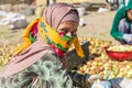 Girl wearing a scarf on her face, at a field where pears are being prepared and dried in the sun