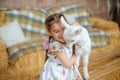 girl wearing a summer cotton dress with braided hair and pink ribbons is hugging a white baby goat Royalty Free Stock Photo