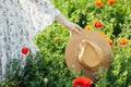 Girl wearing white dress and straw hat walks among red poppy flowers on the sunset. Royalty Free Stock Photo