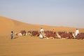 Girl welcomes Camels in desert of Abu Dhabi, UAE