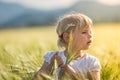 Girl in a wheat field Royalty Free Stock Photo