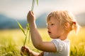 Girl in a wheat field Royalty Free Stock Photo