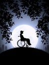 Girl in wheelchair. Disabled woman in park. Full moon on starry night