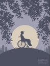 Girl in wheelchair. Isolated silhouette of disabled woman in city park