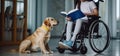 Girl in wheelchair reading book. Alongside Her Faithful Service Dog. Generative AI Royalty Free Stock Photo