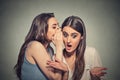 Girl whispering into woman ear telling her shocking secret Royalty Free Stock Photo