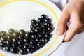 Girl in white apron keeps vintage plate with black currants