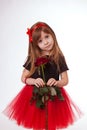 The girl on a white background holds in hands a red rose Royalty Free Stock Photo