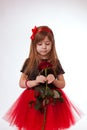 The girl on a white background holds in hands a red rose Royalty Free Stock Photo