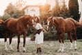 A girl in a white dress and hat next to horses near the nature.Stylish woman walks with horses near the estate Royalty Free Stock Photo