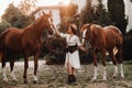 A girl in a white dress and hat walks with horses in nature .A stylish woman stands next to horses near the estate Royalty Free Stock Photo