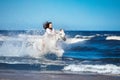 Girl on a white horse storming through the water