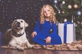 Girl and white labrador dog, christmas concept Royalty Free Stock Photo