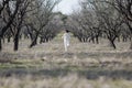 Girl in white running along old almond garden Royalty Free Stock Photo