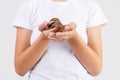 A girl is holding Ahatina on a white isolated background Royalty Free Stock Photo