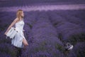 Girl with a white vintage suitcase in a lavender field. The endless field of lilac lavender flowers stretching into the distance. Royalty Free Stock Photo