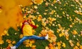 A girl with a wide smile is lies on a carpet of red and yellow leaves in an autumn park. Royalty Free Stock Photo