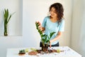 The girl will transplant a home flower because it has grown too large to fit in a pot