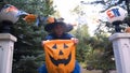 Girl in witch costume holding Trick or Treat bag, asking for candies on camera