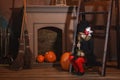 A girl in a witch costume sits near the fireplace on the stairs, making a magic potion