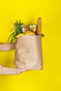 Girl or woman holds a paper bag filled with groceries such as fruits, vegetables, milk, yogurt, eggs isolated on yellow Royalty Free Stock Photo