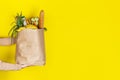 Girl or woman holds a paper bag filled with groceries such as fruits, vegetables, milk, yogurt, eggs isolated on yellow Royalty Free Stock Photo