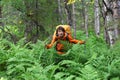 Girl in the woods, among the ferns, cautiously looks around Royalty Free Stock Photo