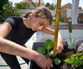 Girl working in orchard raised bed garden Royalty Free Stock Photo