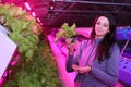 The girl works in the greenhouse. Growing plants aeroponics. Unique production of greenery and plants. Aeroponic system