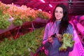 The girl works in the greenhouse. Growing plants aeroponics. Unique production of greenery and plants. Aeroponic system