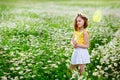 A girl with a wreath of daisies on her head and a net in her hands catches butterflies and has fun in a chamomile field in summer Royalty Free Stock Photo