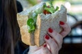 A girl's hand holding a sandwich Royalty Free Stock Photo