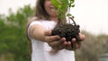 The girl& x27;s hands are holding a tree sapling. Growth and agriculture new life concept. Health, environment care for