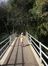 A girl in a yellow coat runs across the bridge Royalty Free Stock Photo
