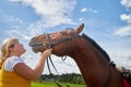 Girl in yellow dress with a horse on a green field and a blue sky with white clouds on the background Royalty Free Stock Photo