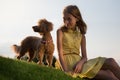 A girl in a yellow dress sits on the lawn, next to a dog a poodle with a necklace, camping, portrait in backlight Royalty Free Stock Photo