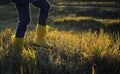 A girl in a yellow hat and rubber boots walks through the forest. Travel concept with children. Royalty Free Stock Photo