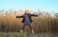 A girl in a yellow rubber boots walks through the forest. Travel concept with children. Autumn in the forest. Royalty Free Stock Photo