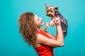 Girl with yorkie dog. Beauty young girl in red dress hug her sweet yorkshire terrier isolated on green background Royalty Free Stock Photo