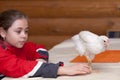 Girl and young hen Royalty Free Stock Photo