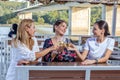 Girlfriends sit at a table with a wine glass toasting. Royalty Free Stock Photo