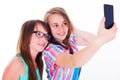 Girlfriends taking selfie with phone