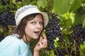 Girlie tries dark grapes. August