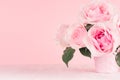 Girlish gentle flowers background - exquisite pink roses on white wood board, copy space.