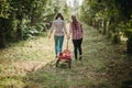 Girls with Apple in the Apple Orchard Royalty Free Stock Photo