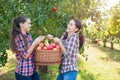 Girls with Apple in the Apple Orchard Royalty Free Stock Photo