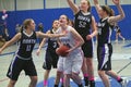 Girls Basketball Action Royalty Free Stock Photo