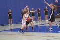 Girls Basketball Action