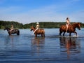 Girls bathe horse in the lake. Royalty Free Stock Photo