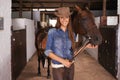 A girls best friend. a young woman tending to her horse. Royalty Free Stock Photo